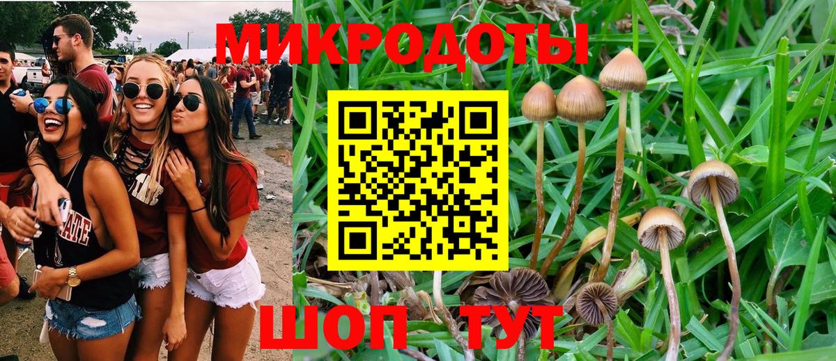 Галлюциногенные грибы GOLDEN TEACHER Североуральск