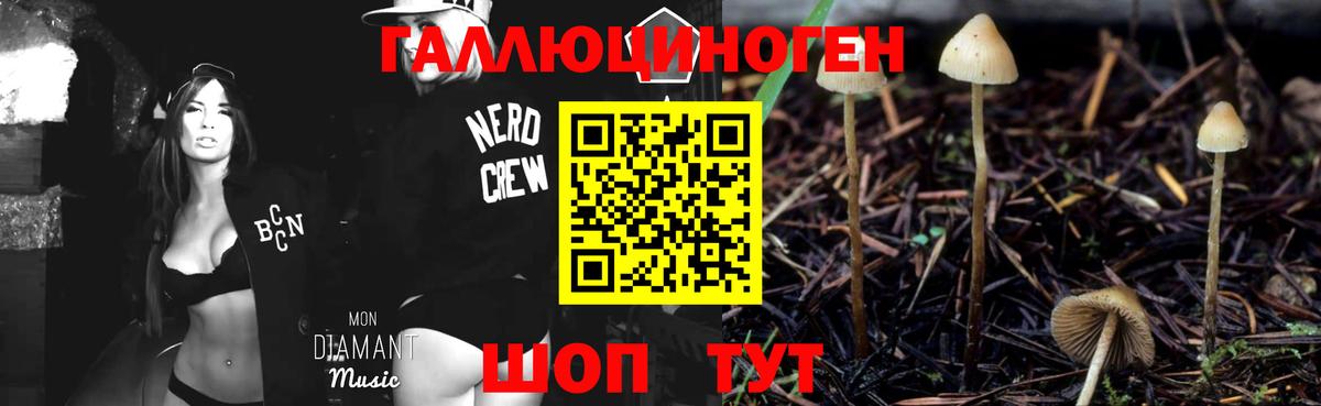 Галлюциногенные грибы MAGIC MUSHROOMS  магазин  наркотиков  Североуральск  Псилоцибиновые грибы прущие грибы  Вход с VPN 